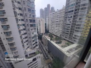 中半山 - 金碧閣 10