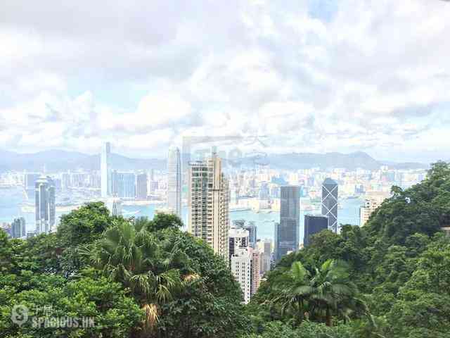 The Peak - Barker Villa 01