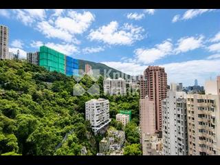 Happy Valley - The Altitude 02