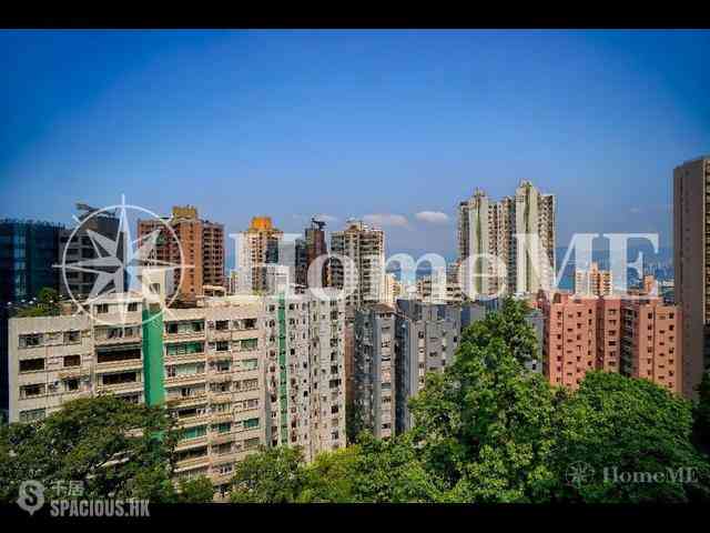 西半山 - 年豐園 02