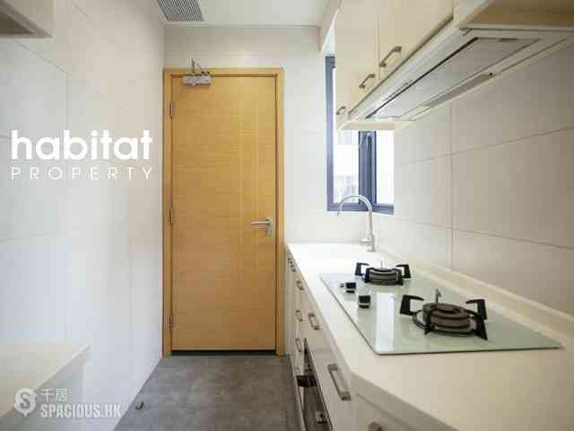 Sai Ying Pun - High Park 99 03