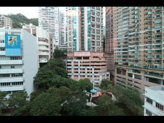 Wan Chai - 1, Star Street 12