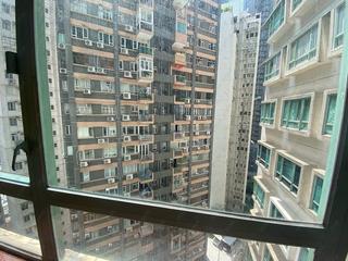 中半山 - 高云台 11