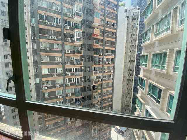 中半山 - 高云台 11
