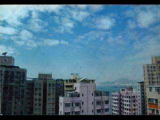Shek Tong Tsui - The Belcher's Phase 2 Block 8 03