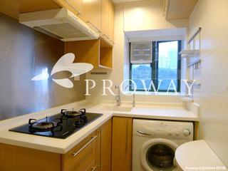 Mid Levels East - Monmouth Place 11