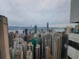 中半山 - 丽豪阁B座 11