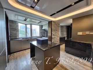 Mid Levels Central - 21 Borrett Road No.1 & No.2 18