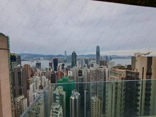 中半山 - 丽豪阁B座 14