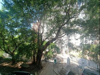 Mid Levels Central - Kam Yuen Mansion 19