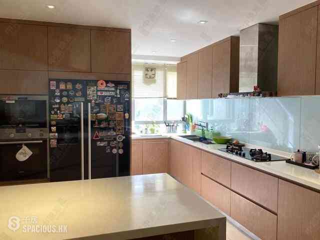 Mid Levels Central - Tregunter Tower 3 06