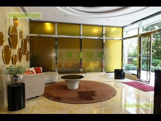 Kennedy Town - Belcher's Hill 28