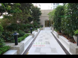 Kennedy Town - Belcher's Hill 31