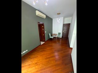 Wan Chai - The Avenue Phase 2 Block 1 07