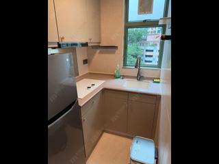 Wan Chai - 1, Star Street 08