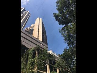 東半山 - 金銮阁 36