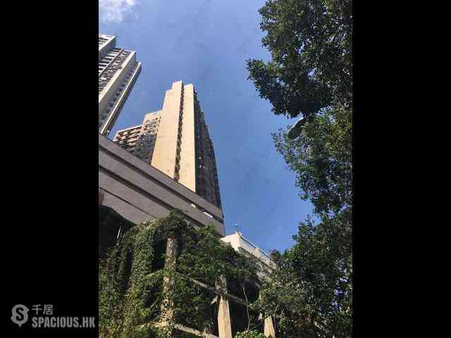 東半山 - 金銮阁 36