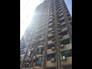 東半山 - 金銮阁 37