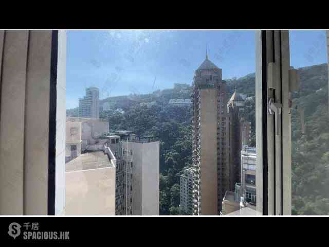 Mid Levels Central - Tregunter Tower 3 29