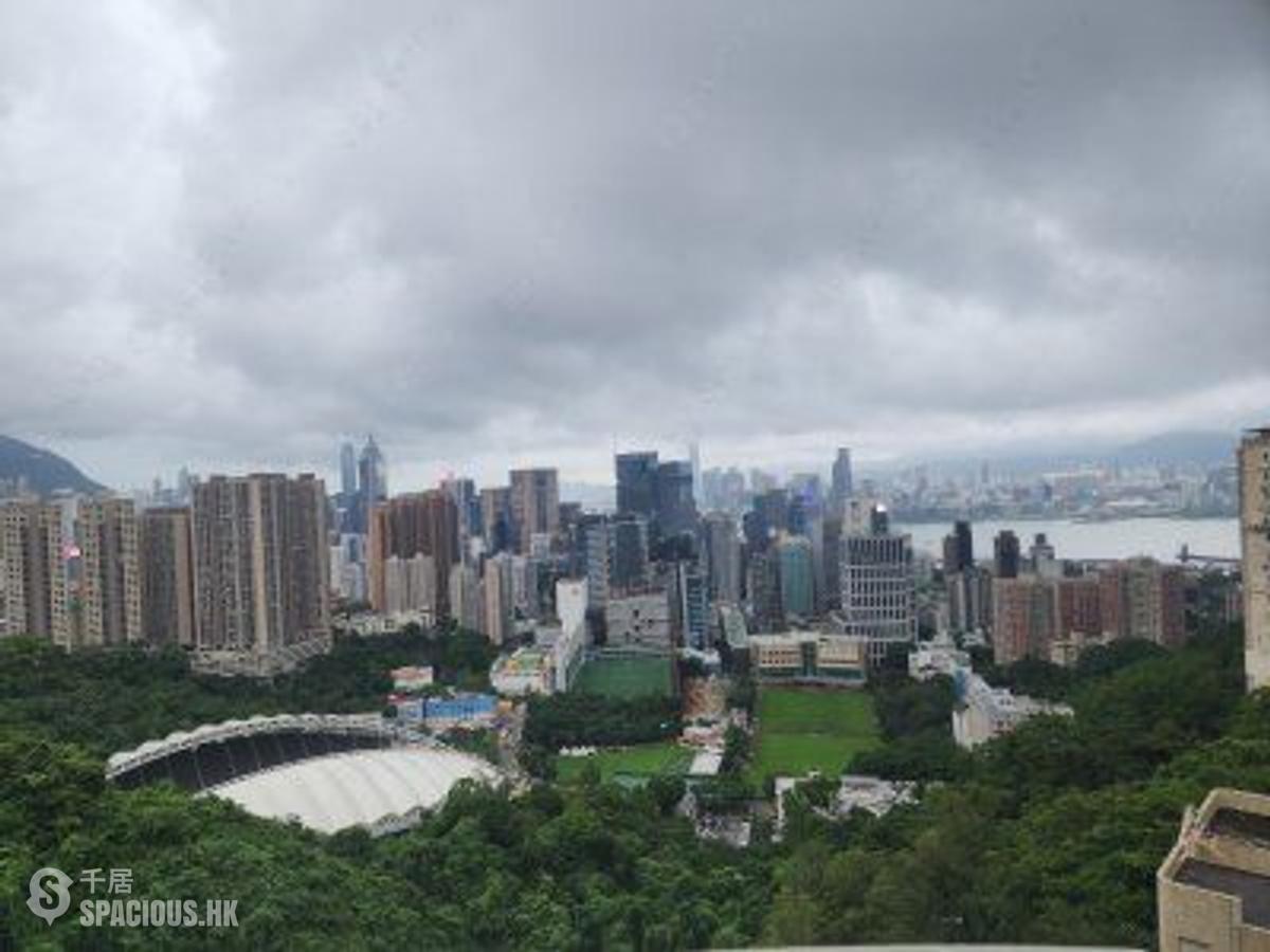 Tai Hang - Jardini 01