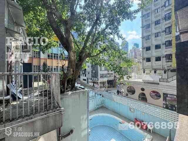 Poho - Rich View Terrace 01