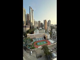 Tai Hang - Serenade 07