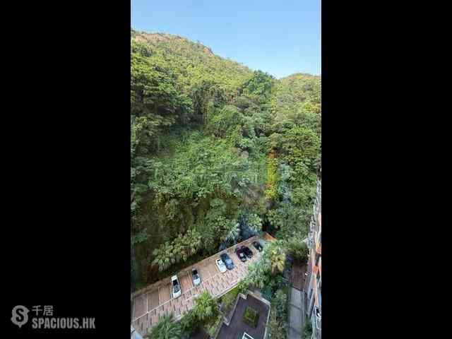 Tai Hang - Serenade 15