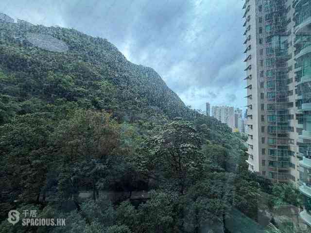 中半山 - 曉峰閣 12
