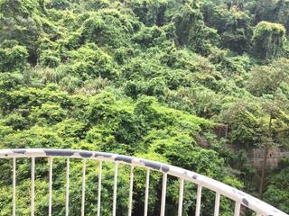 中半山 - 承德山莊1座 05