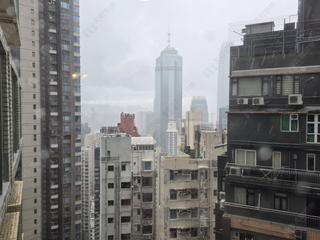 中半山 - 高云台 04