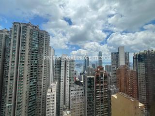 Mid Levels Central - Winsome Park 08