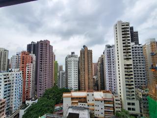 Sai Ying Pun - The Summa 03