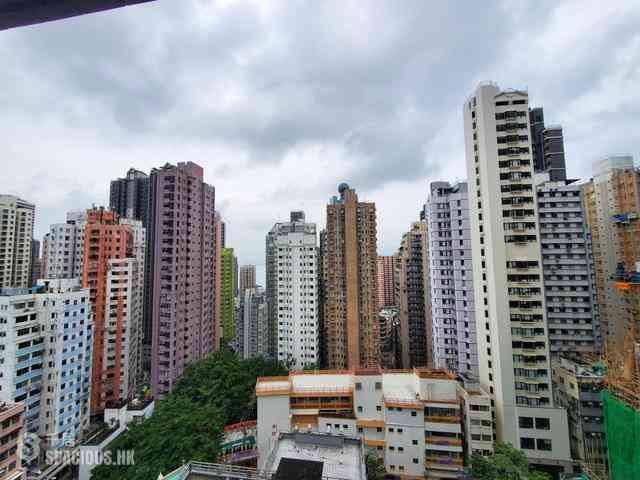 Sai Ying Pun - The Summa 03