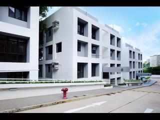 Pok Fu Lam - Pine Grove 02