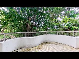 Pok Fu Lam - Pine Grove 06