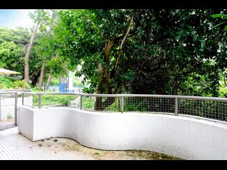Pok Fu Lam - Pine Grove 32