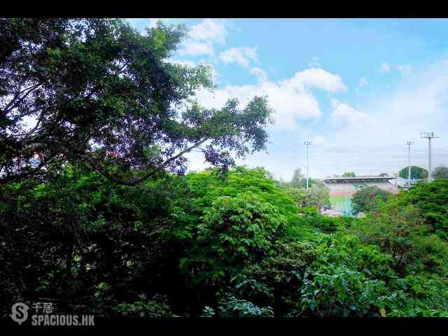 Pok Fu Lam - Pine Grove 33