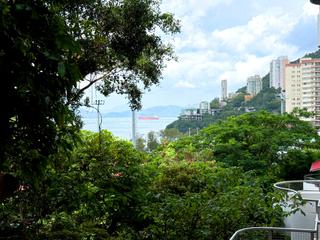 Pok Fu Lam - Pine Grove 34