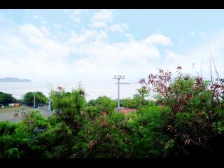 Pok Fu Lam - Tam Gardens 30