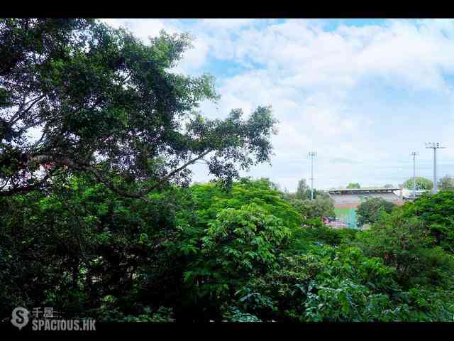 Pok Fu Lam - Pine Grove 34