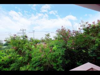 Pok Fu Lam - Tam Gardens 31