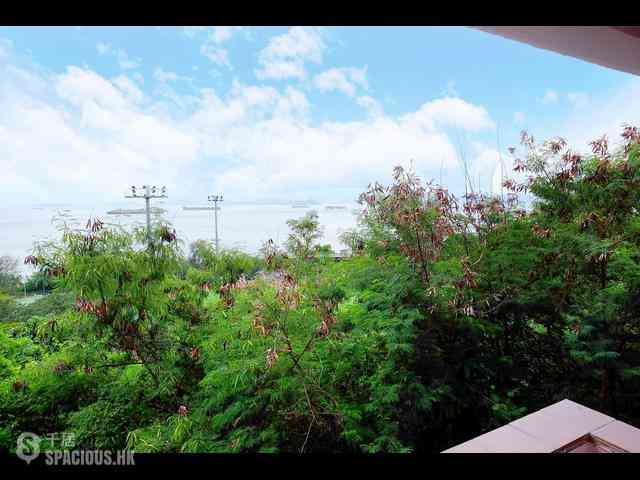 Pok Fu Lam - Tam Gardens 31