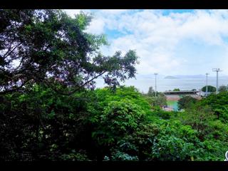 Pok Fu Lam - Pine Grove 35
