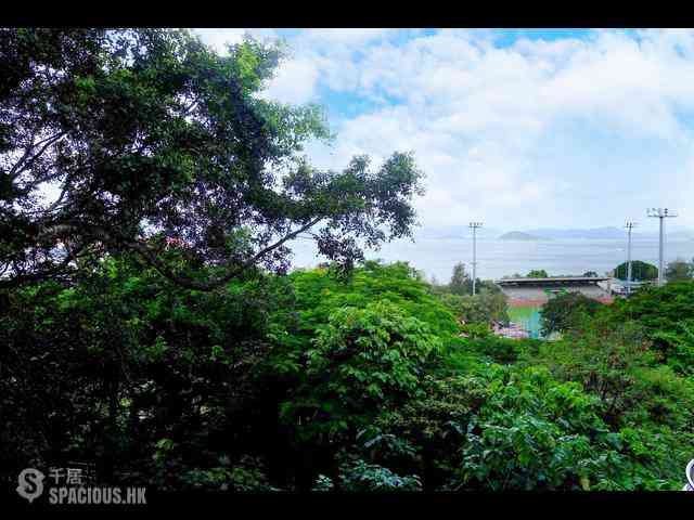Pok Fu Lam - Pine Grove 35
