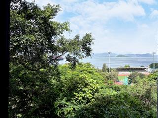 Pok Fu Lam - Pine Grove 36