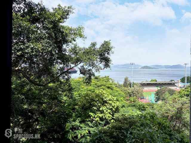 Pok Fu Lam - Pine Grove 36