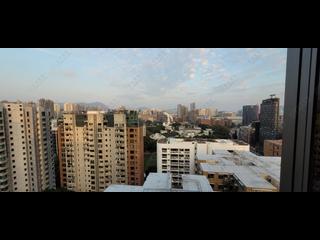 Jordan - Arbour 06