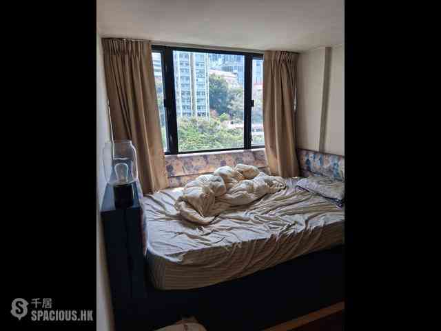 Poho - Rich View Terrace 04