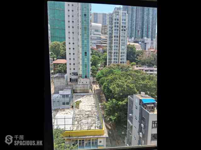 Poho - Rich View Terrace 08