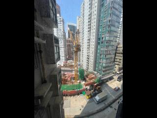 Sai Ying Pun - Macro Garden 06